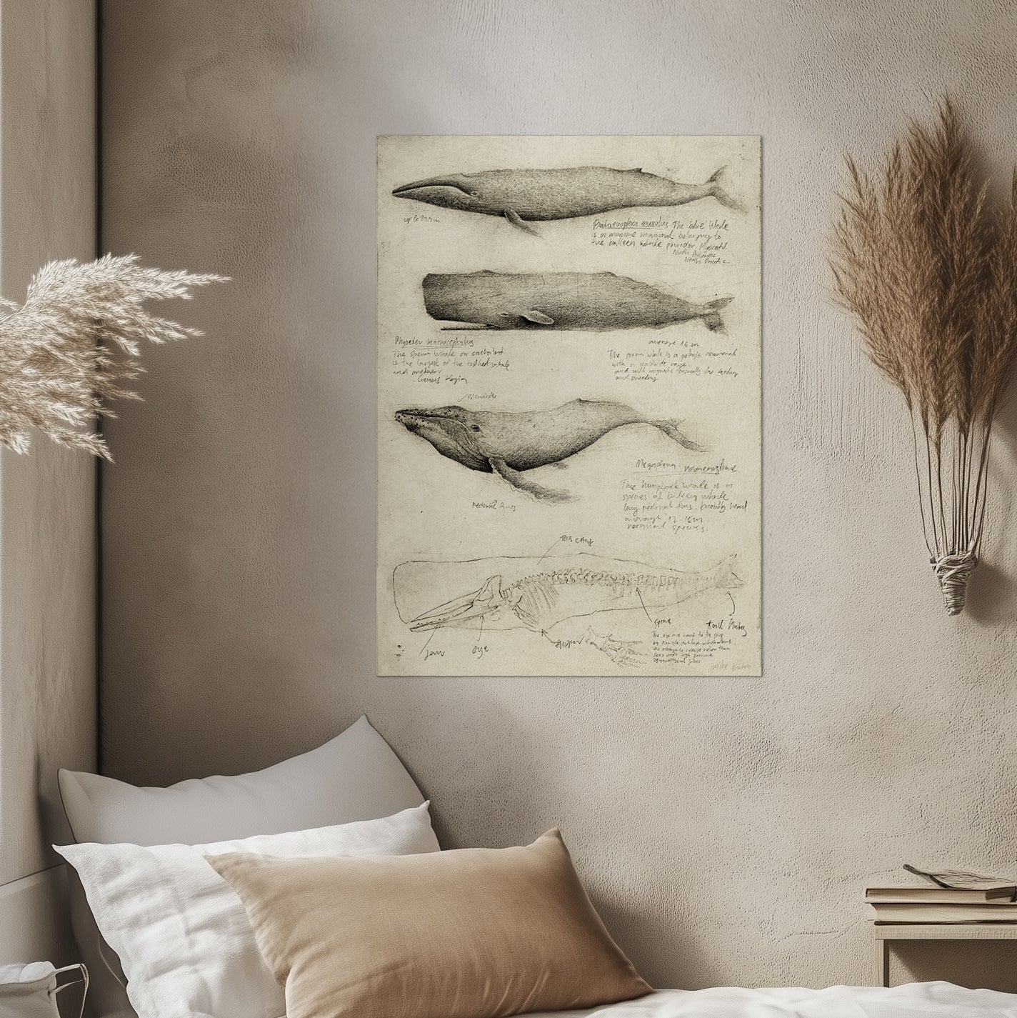 Whales