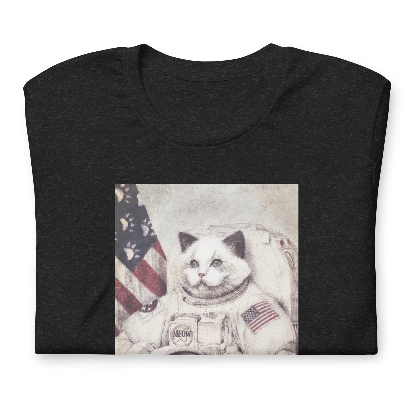 Meow out in Space